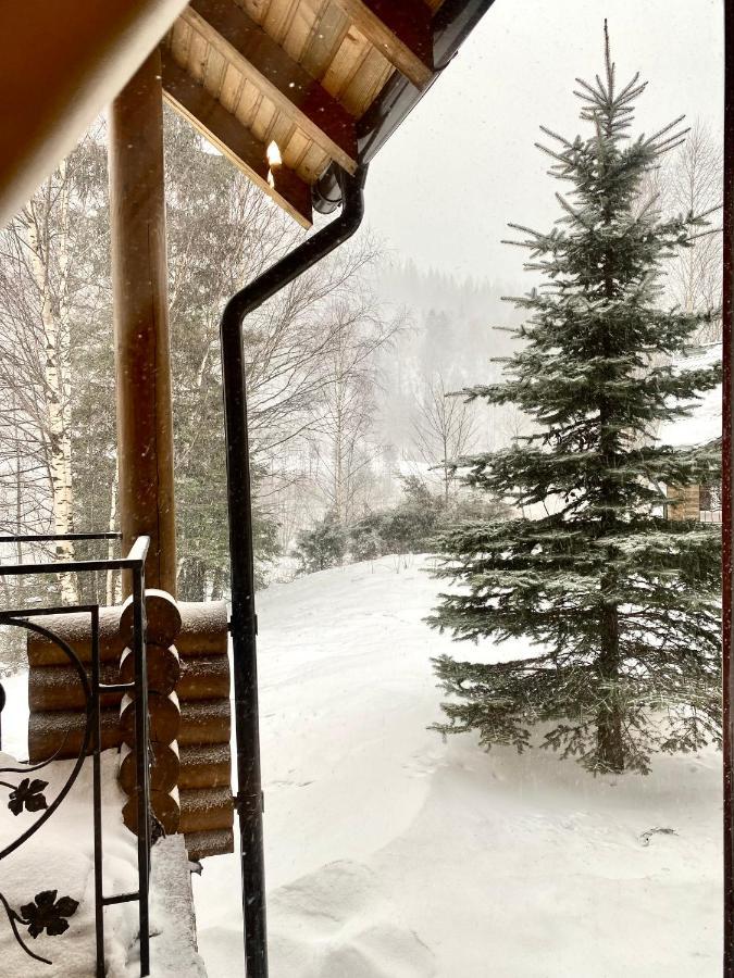 Chalet Four Seasons Villa Tatariv Luaran gambar