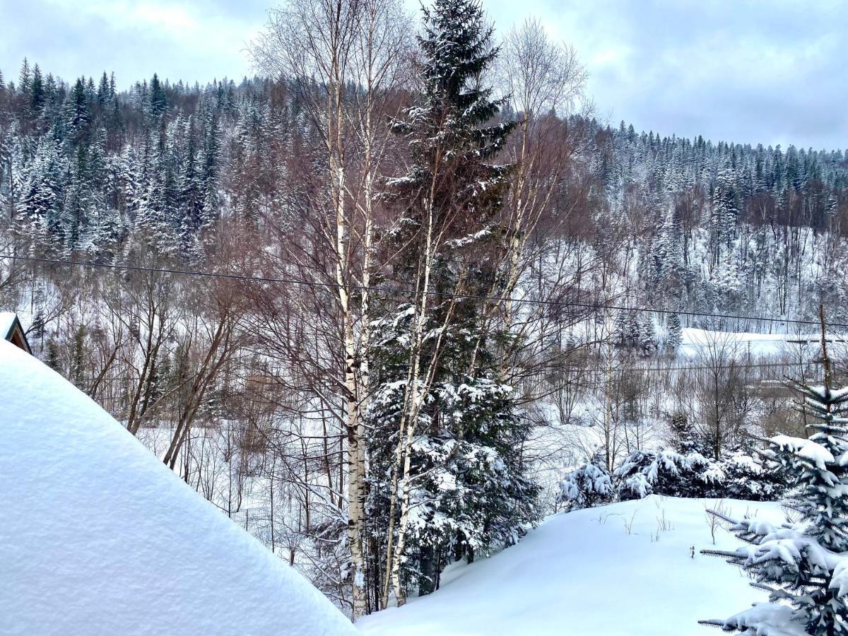 Chalet Four Seasons Villa Tatariv Luaran gambar