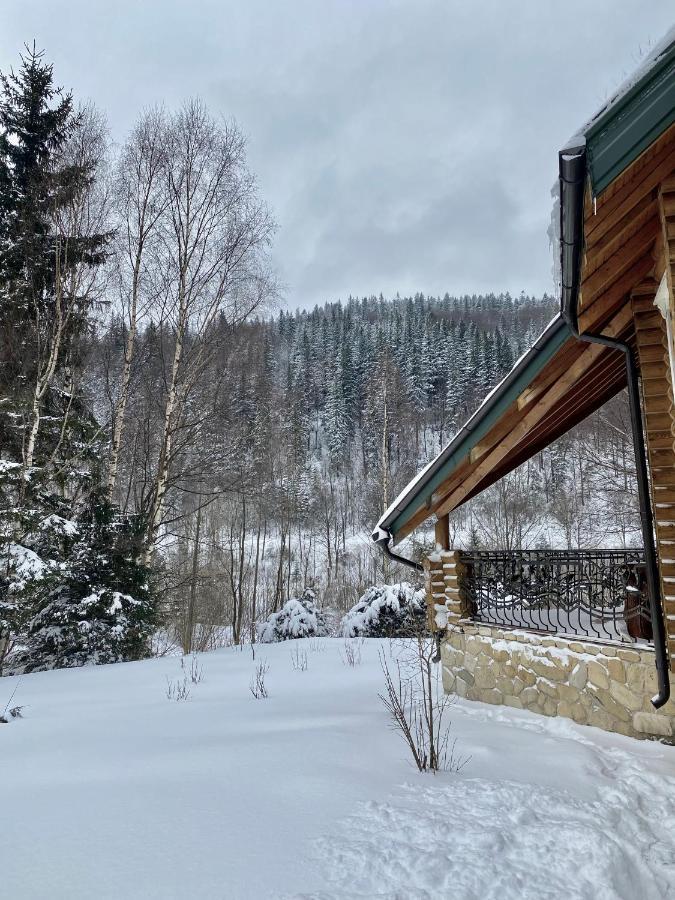 Chalet Four Seasons Villa Tatariv Luaran gambar