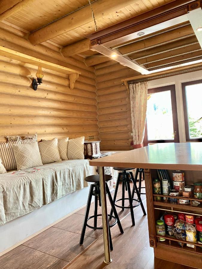 Chalet Four Seasons Villa Tatariv Luaran gambar